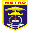 Pemerintah Kota Metro